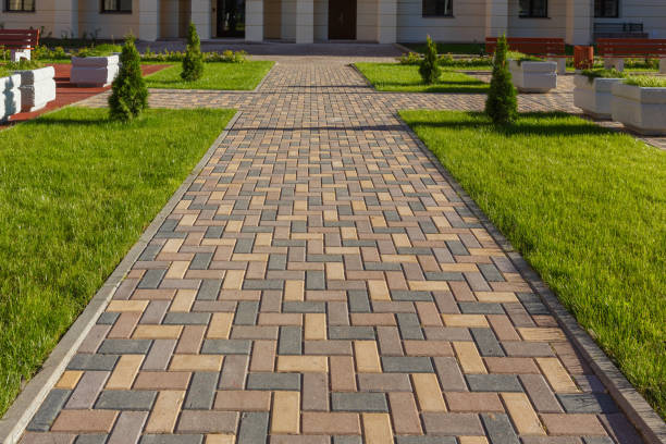 Best Professional Driveway Pavers  in Montour Falls, NY